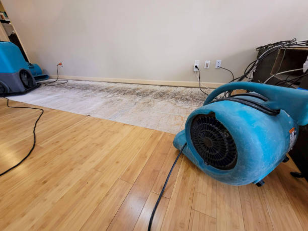 Professional Sewage Cleanup technician working in Roswell, GA